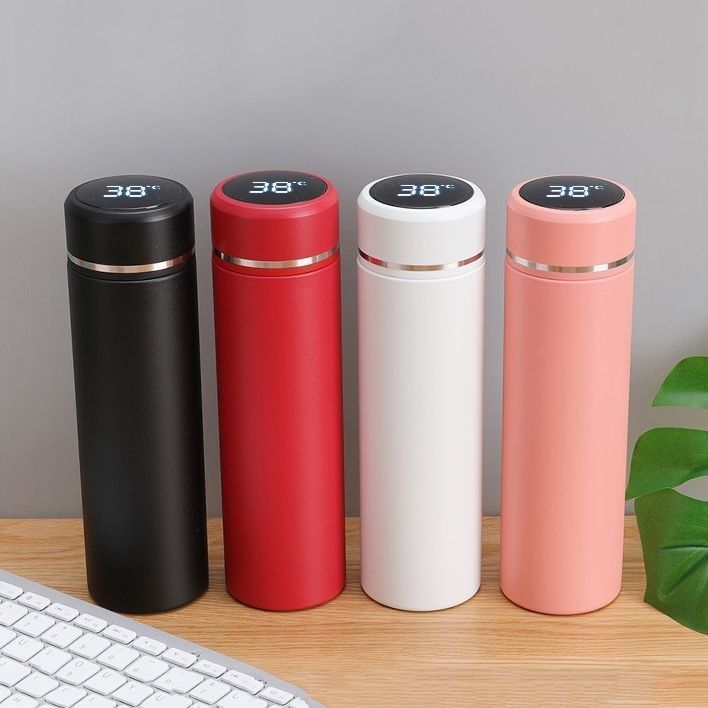 Stylish Thermal Bottle